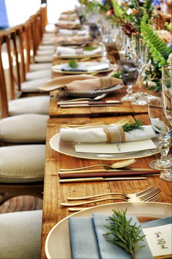 banquet-catering-chairs-1395967.jpg
